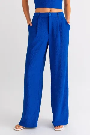 Blue Low Waist Pleated Wide Leg Pants